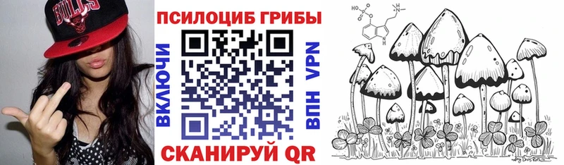 Псилоцибиновые грибы Psilocybe  наркота  Рыбное 